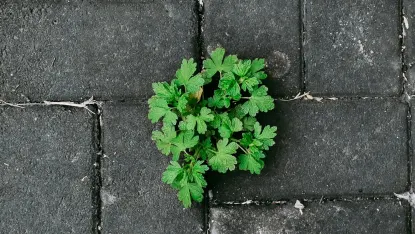 Casino Deposit Win Aplicación móvil